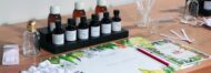 The Perfumer’s Apprentice” Olfactory Workshop – Fragonard Perfumery