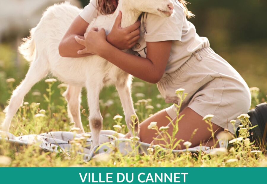 Rocheville à la campagne_Le Cannet