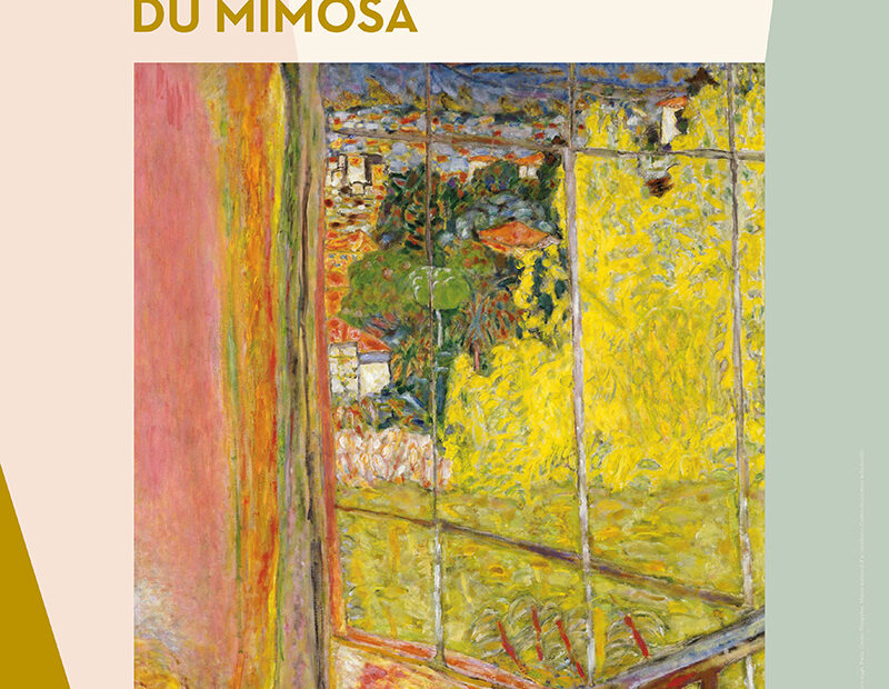 Bonnard – Les Collections. Voici venu le temps du mimosa._Le Cannet