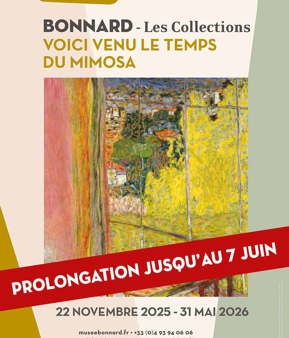 Bonnard - The Collections. The time for mimosa has arrived._Le Cannet