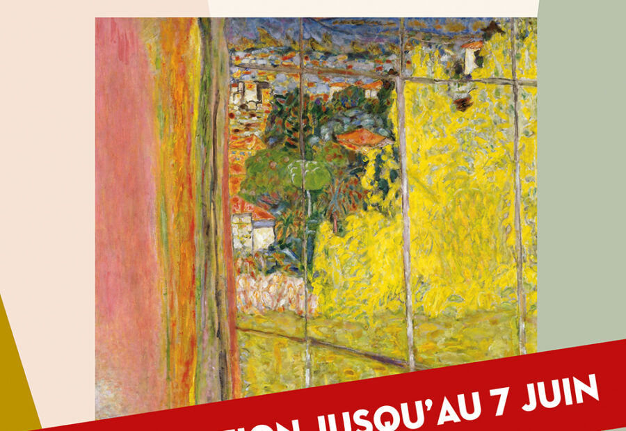 Bonnard – Les Collections. Voici venu le temps du mimosa._Le Cannet