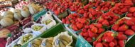 Marché alimentaire de Rocheville_Le Cannet
