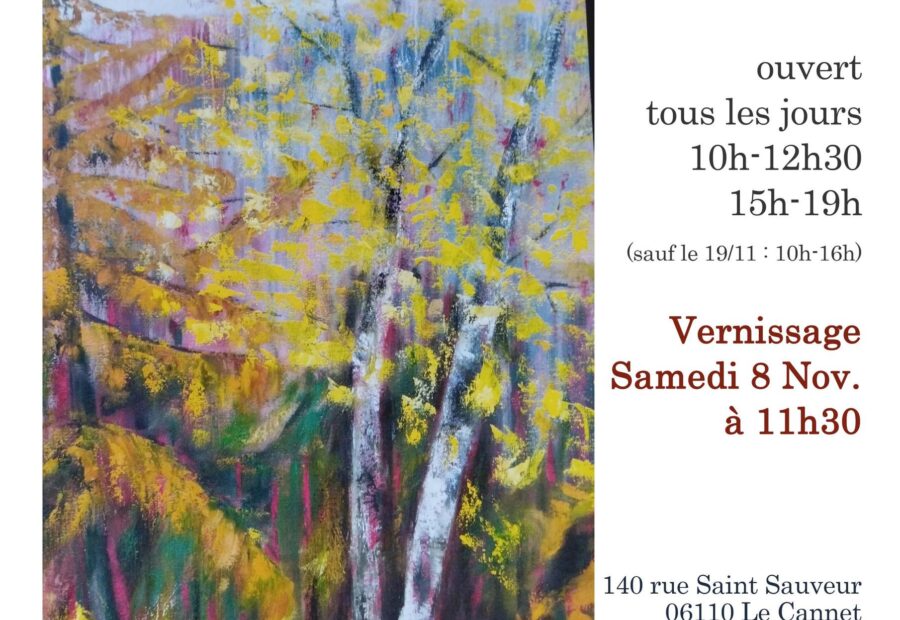 Exposition La Terrasse des Arts_Le Cannet