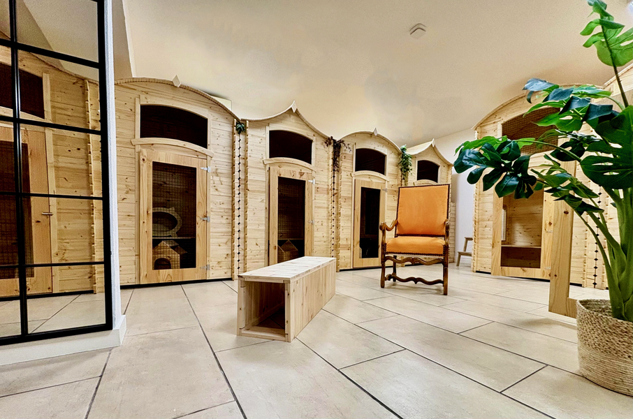 CAT LODGE HOTEL_Le Cannet