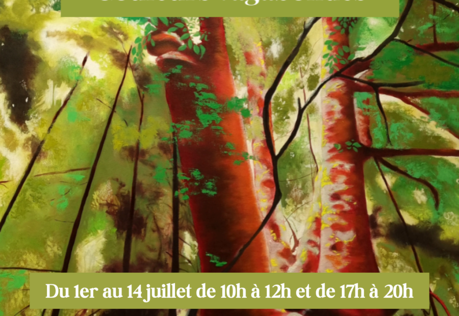 “Couleurs vagabondes” exposition de Valérie Peuch-Spencer – ACCA_Le Cannet